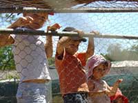 Le photographe est dans la cage