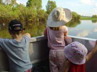 En pleine observation