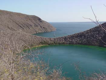 COMMEDANSLESMAGAZINES