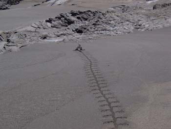 UNCOPAINQUIRENTRECHEZLUI